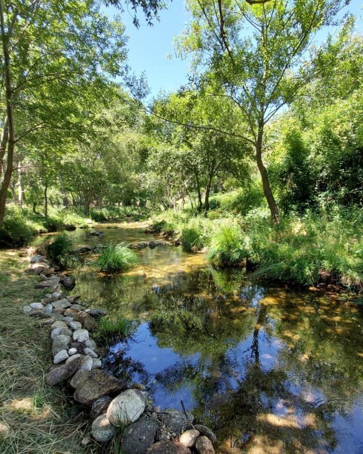 Hotel Ribera Del Corneja Navacepedilla de Corneja Esterno foto
